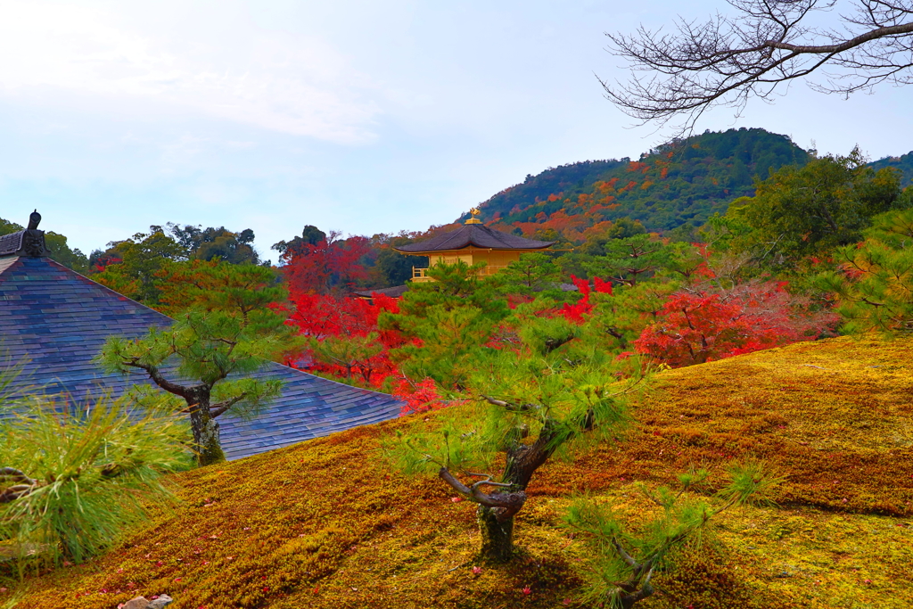kyoto0035