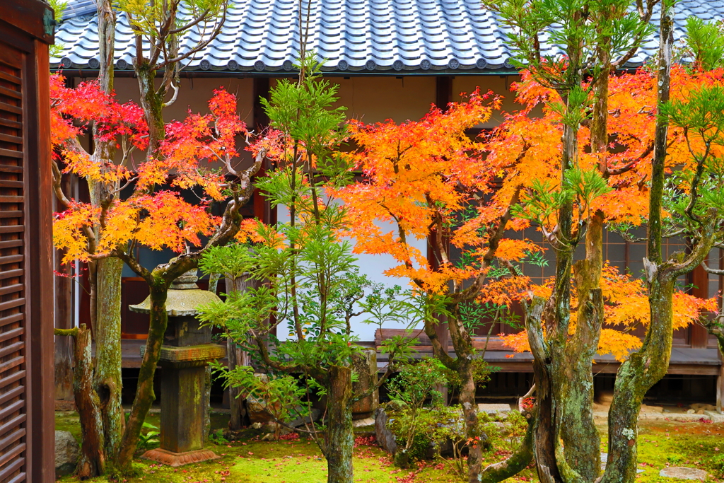 kyoto0036