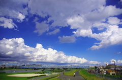 IMGP3850