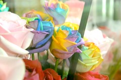 Flower Tone