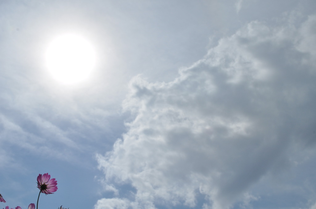 太陽を浴びて