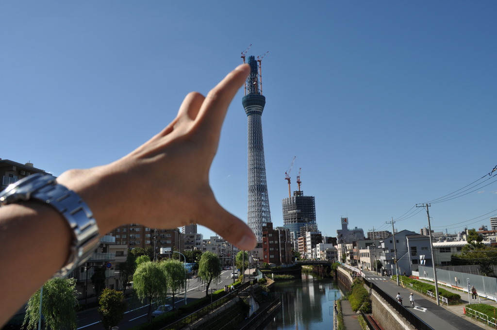 まだ小さい