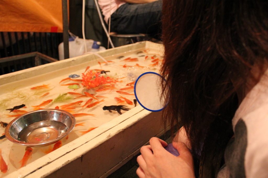 金魚すくい