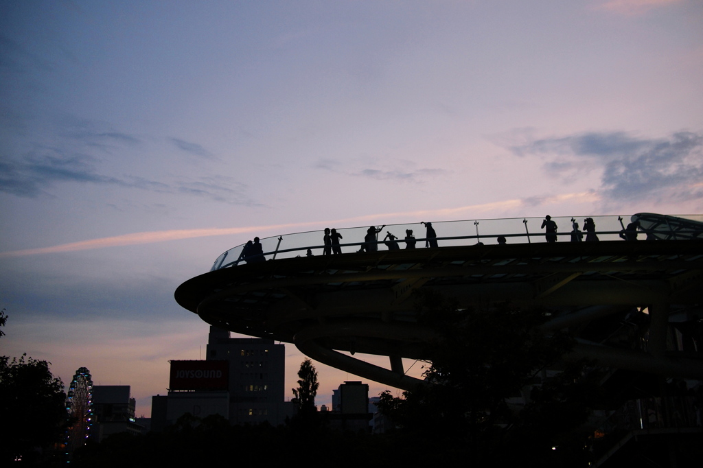 オアシスで夕涼み