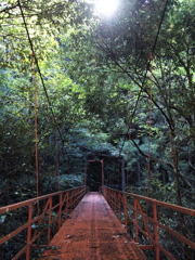 朱色の吊り橋