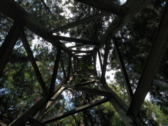 Tower In The Forest