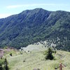 根子岳～四阿山 笹原