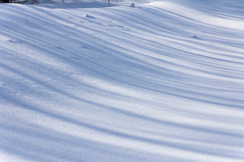 雪原の宝石