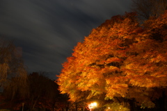 秋の夜