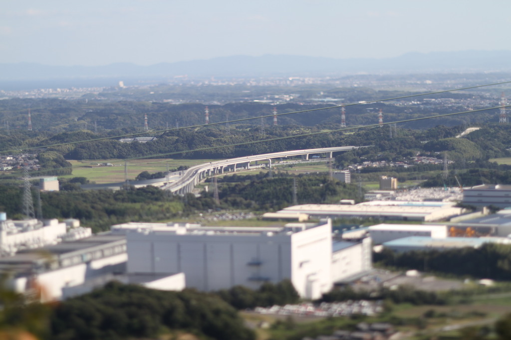 逆アオリ