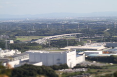 逆アオリ