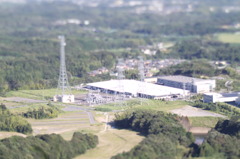 逆アオリ