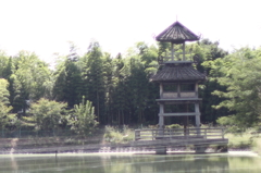 IMG_3774_r