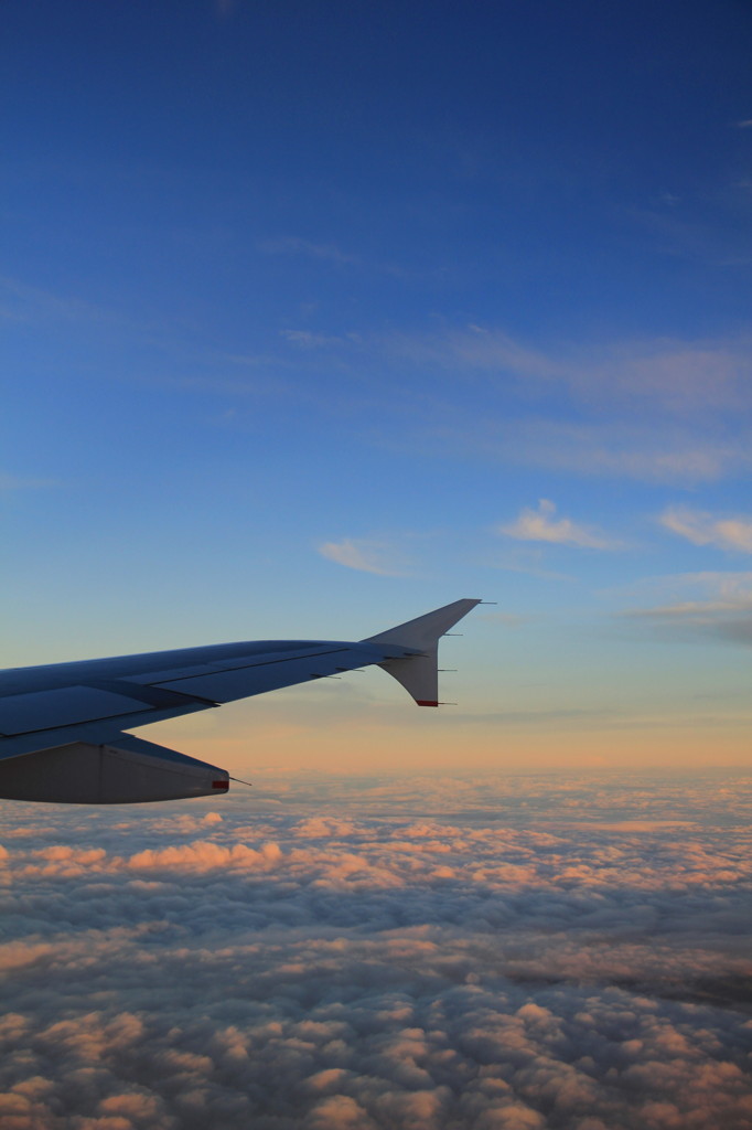 飛行機にて