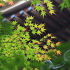 垣間見える秋のおとづれ