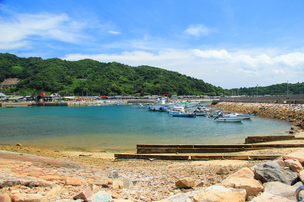 夏の田舎港