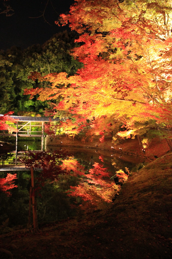 秋の京都（高台寺にて）