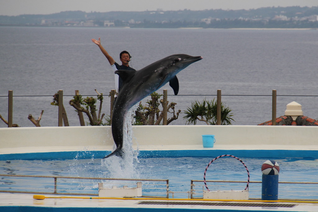 美ら海水族館