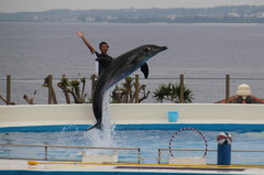 美ら海水族館