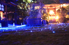 秋の京都（青蓮院にて）