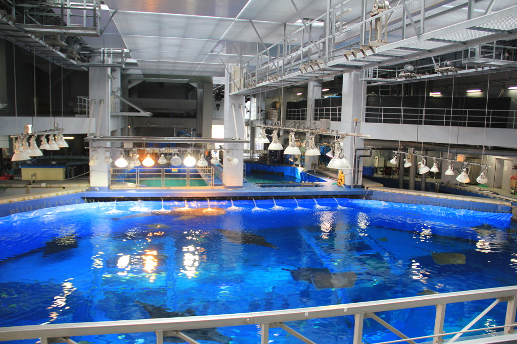 美ら海水族館