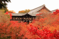 秋の京都（東福寺にて）