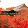 秋の京都（東福寺にて）