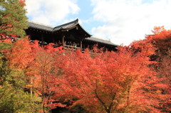 秋の京都（東福寺にて）