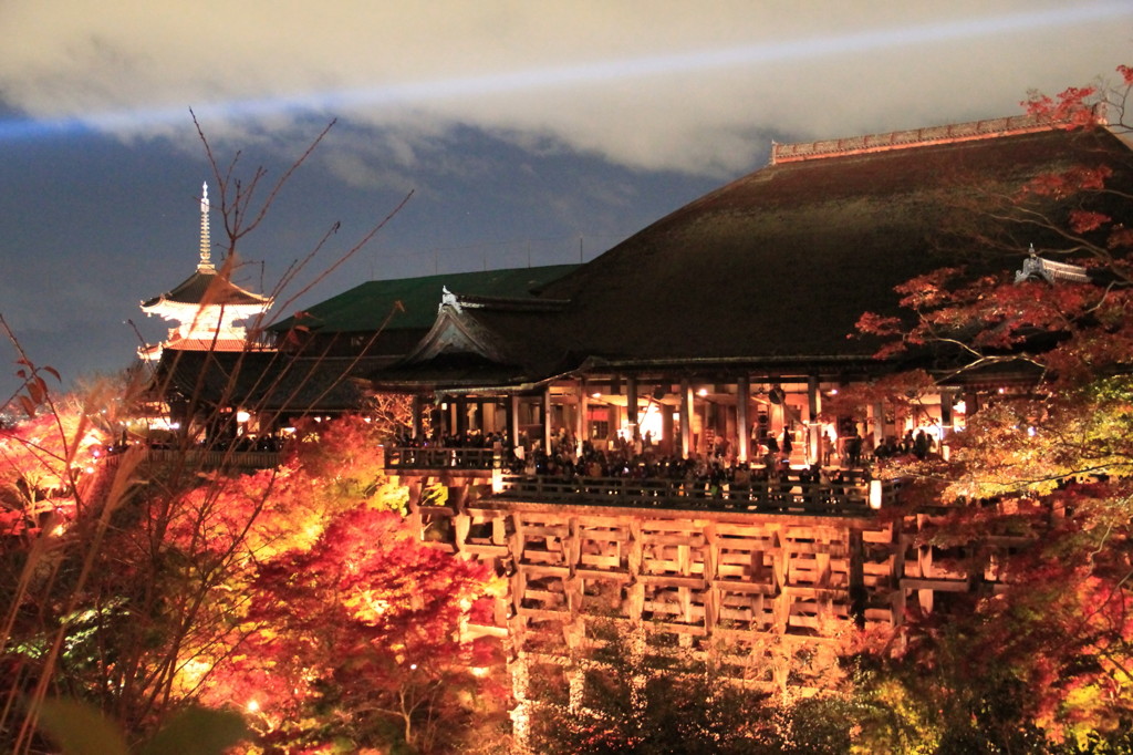 秋の京都（清水寺ライトアップ）