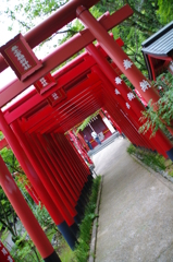 御狐様への道