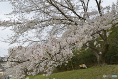 春の時間
