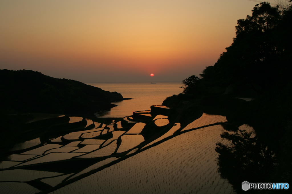 棚田夕景