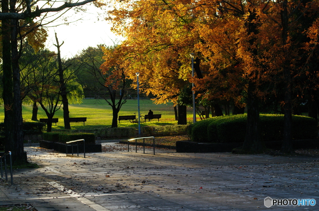 日暮れの公園にて