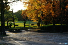 日暮れの公園にて