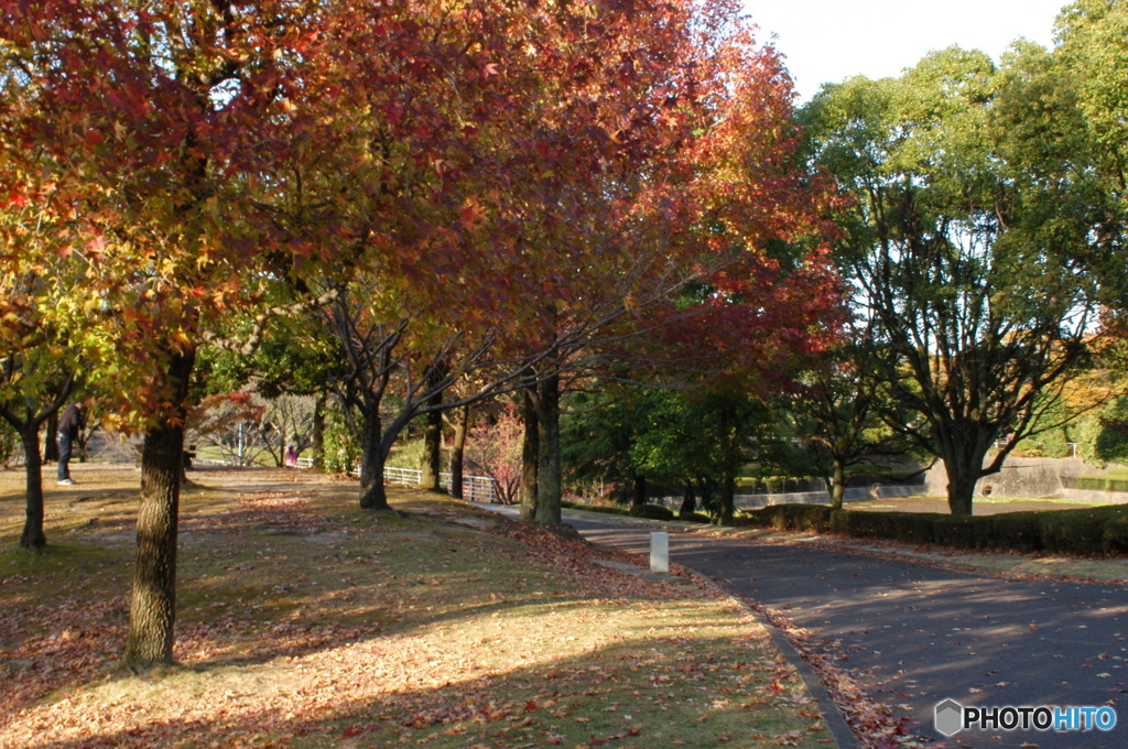 秋の公園