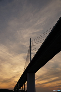 福岡都市高速ハープ橋
