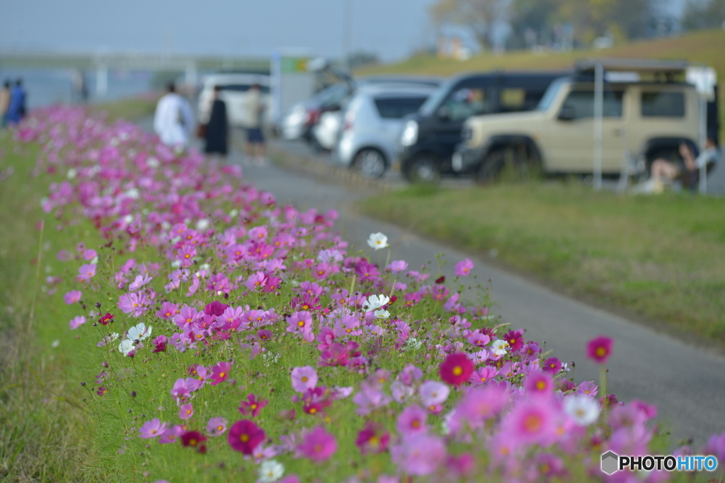 秋晴れの河原