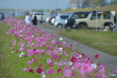 秋晴れの河原