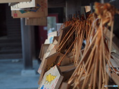 願いを祭る