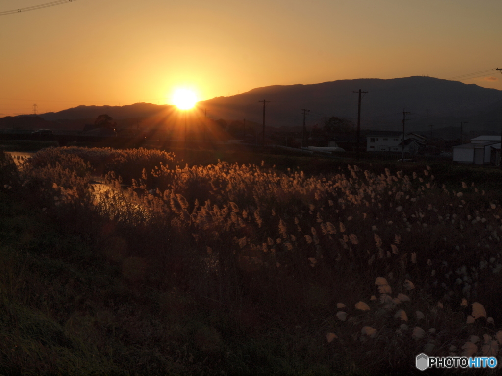 散歩道の夕暮れ