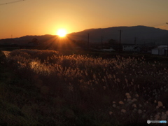 散歩道の夕暮れ