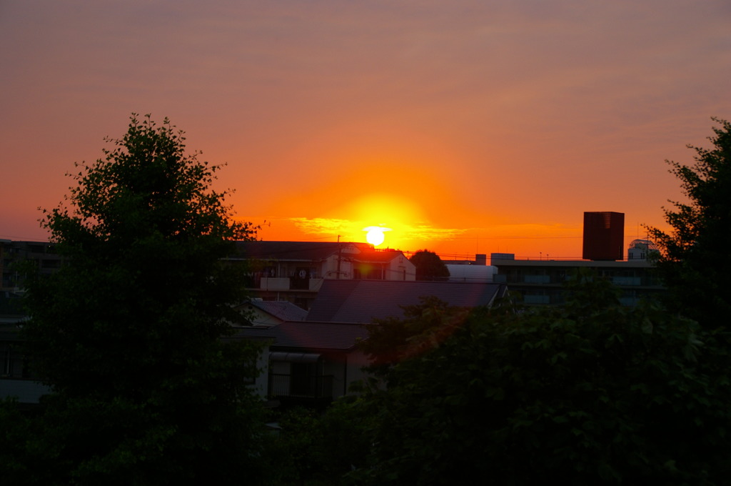 夕陽その２