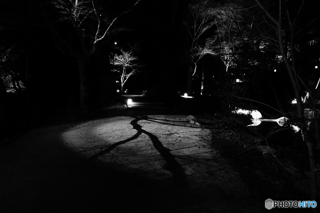 Nightステージ