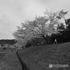 春どき
