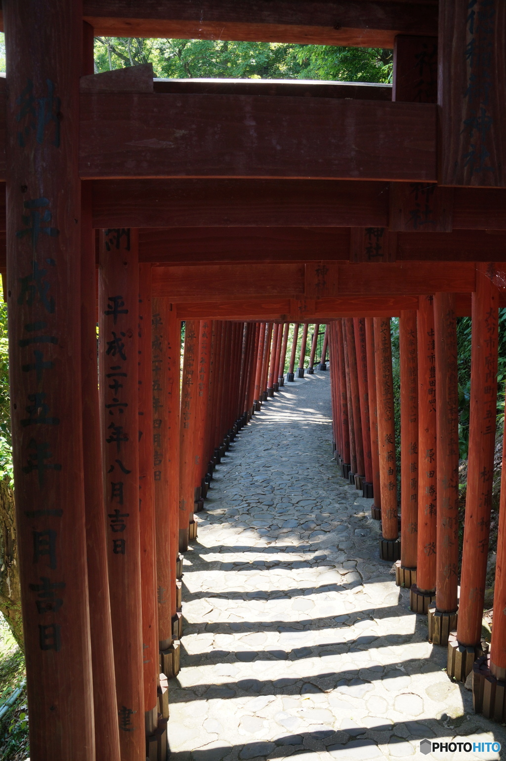 神域への囲い道