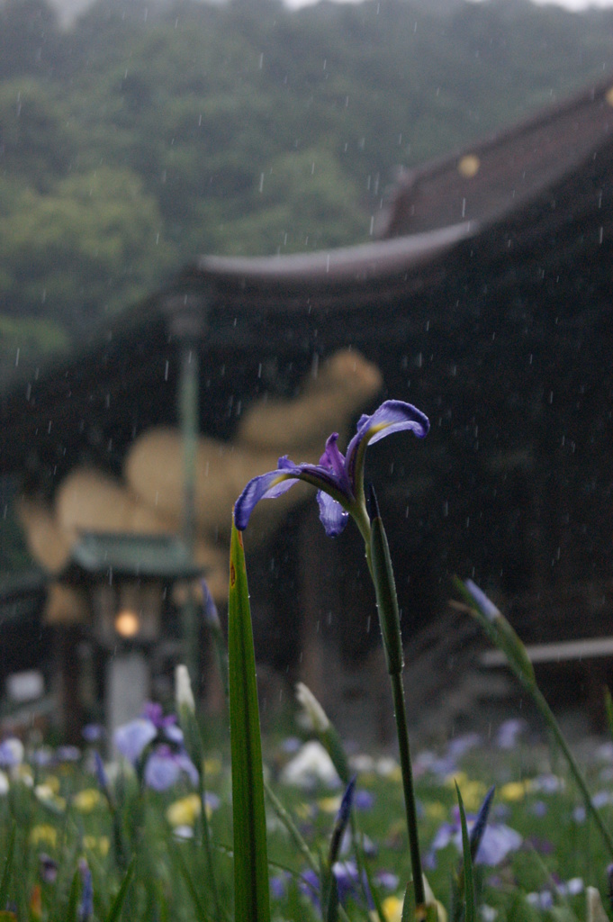 その３