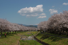 春の小川