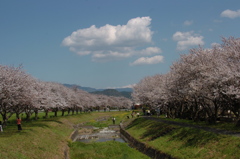 春の小川