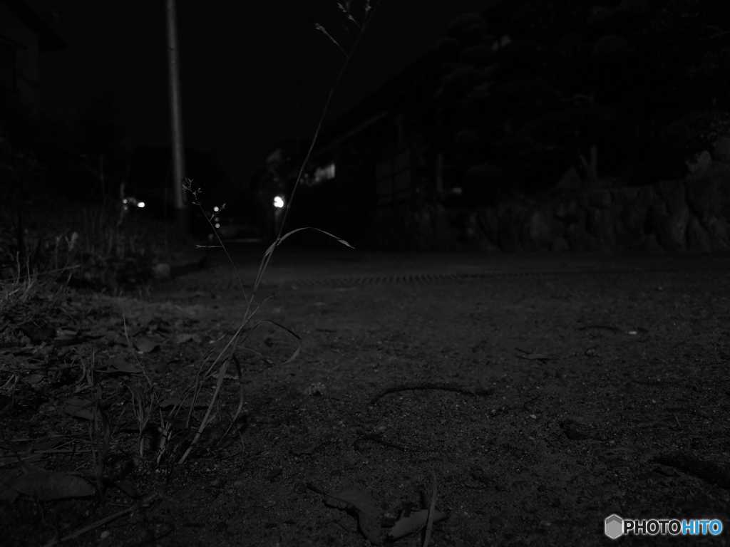 夜道