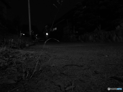 夜道
